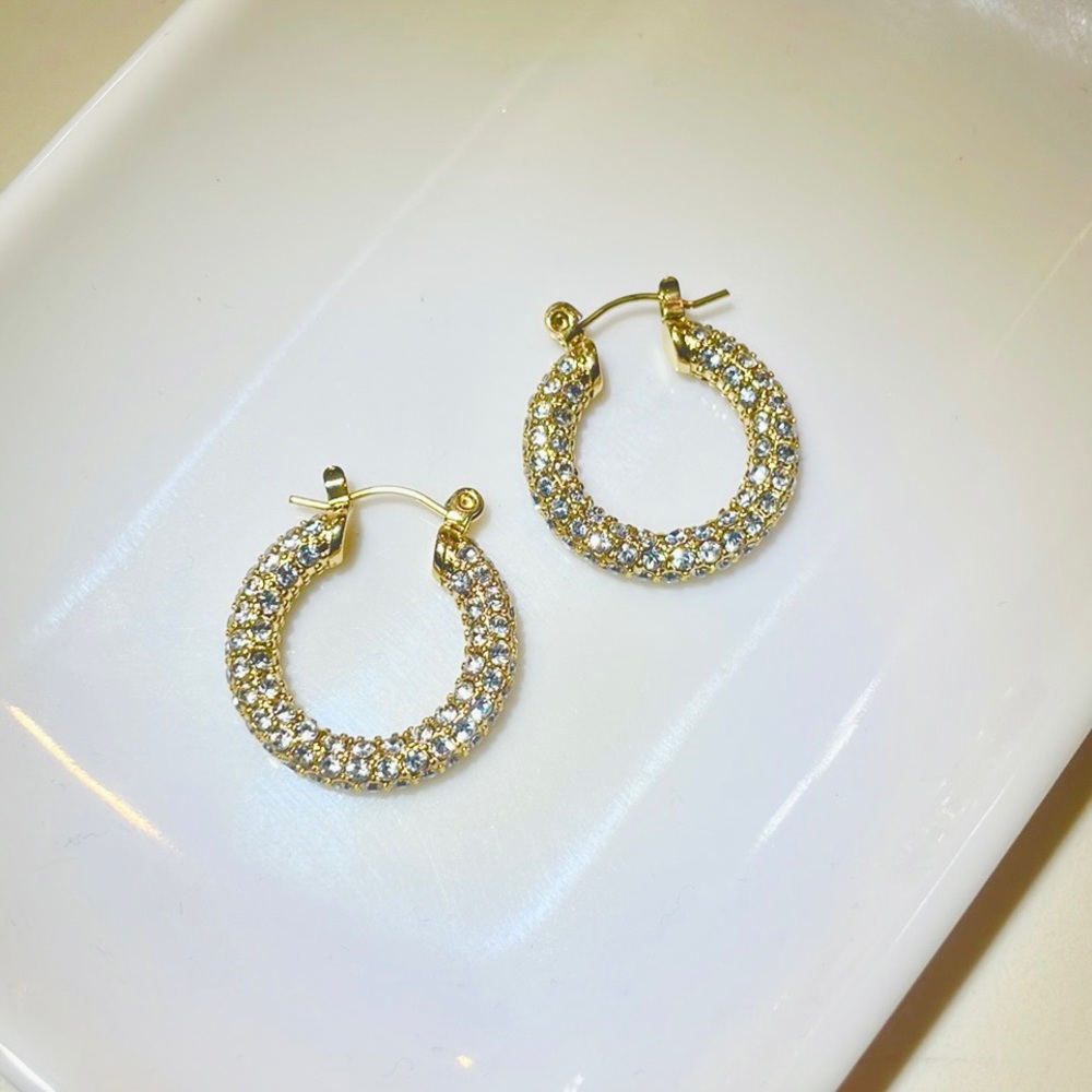 NWT- Hoop Earrings with full stones